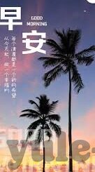9退网足球比分-9退网风波下的足球比分世界，变局与坚守