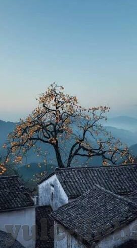 世界杯菲律宾男篮-世界杯菲律宾男篮，挑战与机遇并存的旅程